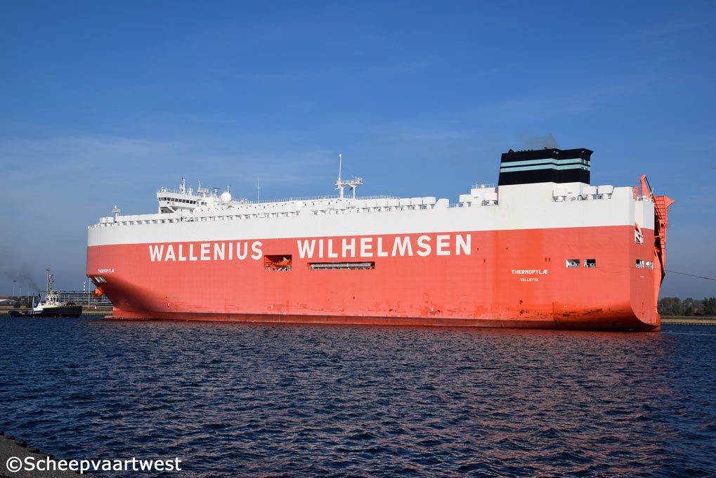 Scheepvaartwest Thermopylae Imo 9702443